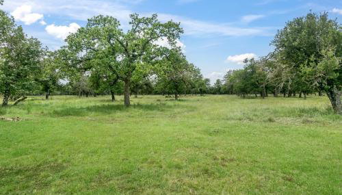 Art Ranch - Goldsworthy - Hill Country Getaway, Gas Grill, Art Classes Onsite - Foto 2