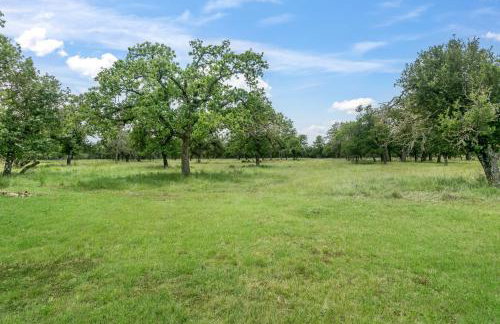 Art Ranch - Goldsworthy - Hill Country Getaway, Gas Grill, Art Classes Onsite - Foto 2