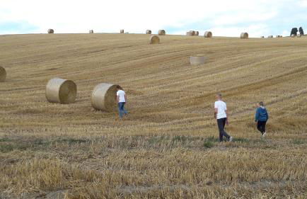 Haus JULIA direkt am Hennesee mitten im Sauerland - Foto 36