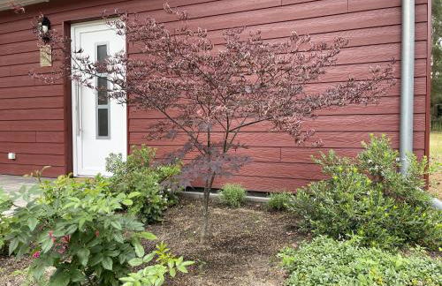 Ferienhaus Eichelhäher - Photo 24