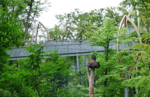 Ferien-Appartement Goldhausen - Foto 23