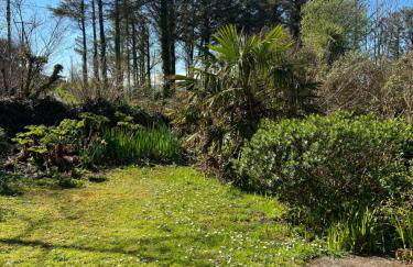 Lofthouse - secluded quirky cottage with sea views! - Photo 15