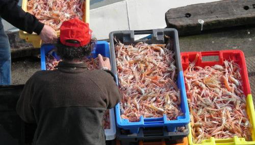 Kerleuquer Ty Nevez - Foto 4