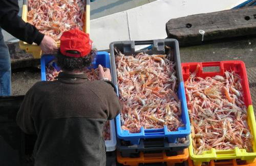 Kerleuquer Ty Nevez - Foto 4