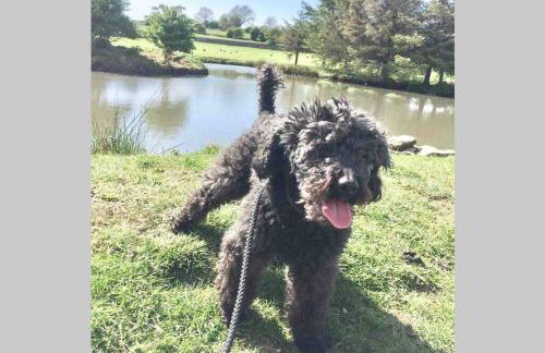 Phil's Cottage Sleeps 2 one dog by prior permission - Photo 13