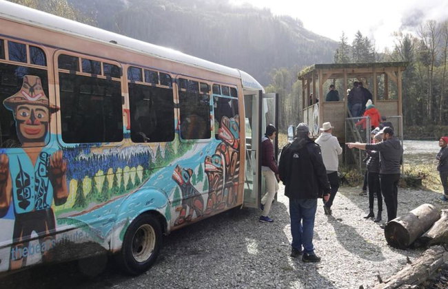 Bute Grizzly - Foto 8