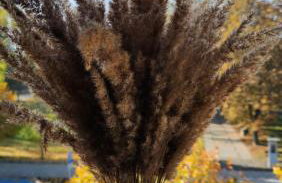 Keep calm and relax - Foto 17