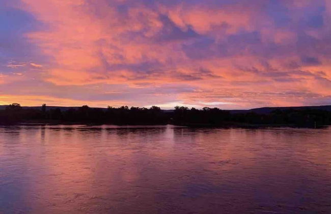 Modernes Apartment mit Wunderschönem Rheinblick - Foto 16