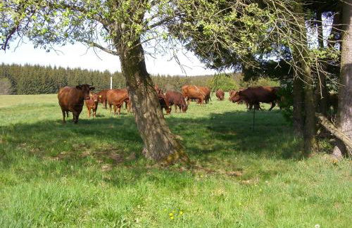 Ferienwohnungen Königshof - Foto 2