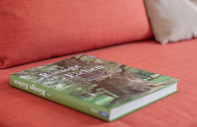 Wohnen am Schlossberg - Foto 20