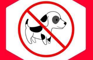 La Segheria - Foto 19