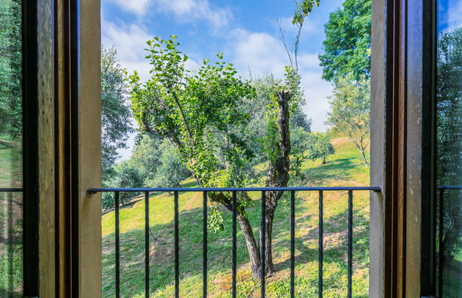 La Cupola: Giglio - Foto 23