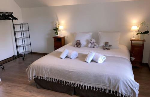 Gite Chez Livia Hautes Vosges - Foto 68