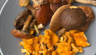 Apartamenty nad morzem Przy klifie 3 Dębina - Foto 3