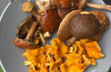 Apartamenty nad morzem Przy klifie 3 Dębina - Foto 3