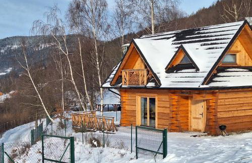 Domek Muflon w Górach Sowich - Foto 25