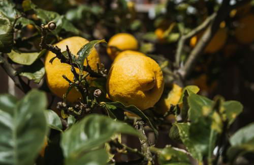 Kodu Lodge - spacious 2 storey coastal home with balcony, sea view, garden & BBQ - Foto 40