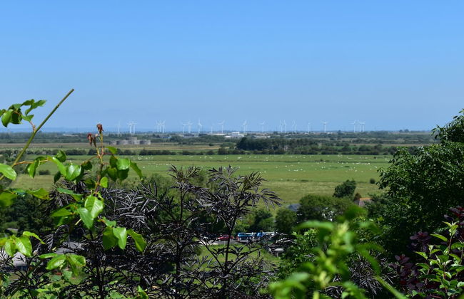 4 Landgate Cottage Winchelsea - Foto 1