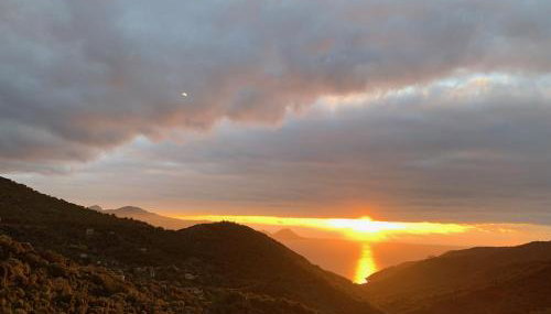 Les Asphodèles - Foto 3