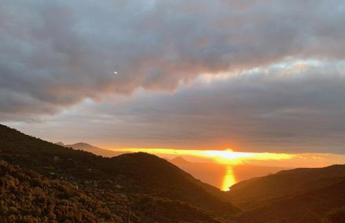 Les Asphodèles - Foto 3