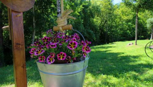 QUINTA DO VALE - Foto 5, Garden