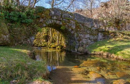 Casa das Falagueiras - Foto 33