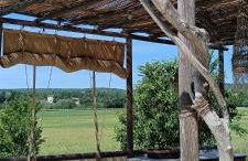 Le Sens des Merveilles - Foto 5