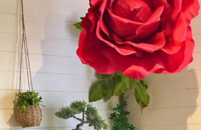 Pitchoune - Centre -Wifi - Equipé - Foto 12