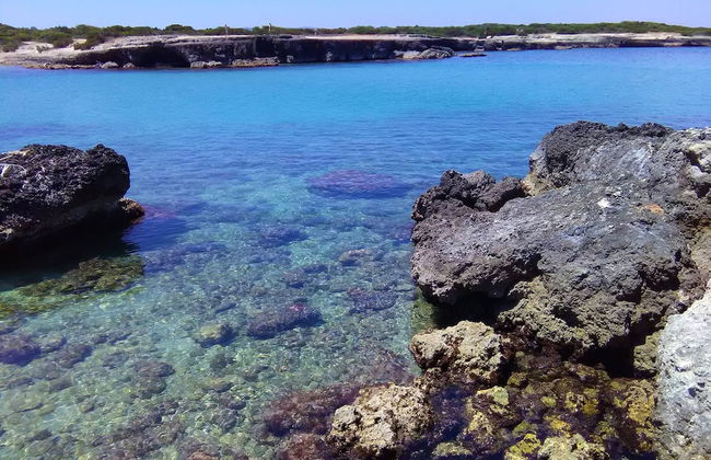 Tenuta Deserto - Foto 66