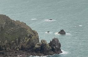 Le Grenier de Maltot - Foto 24