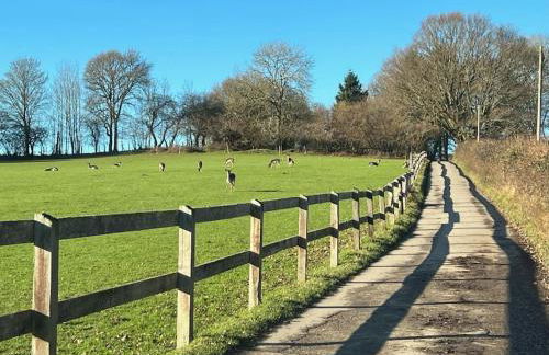 Arniss Farmhouse - Photo 33