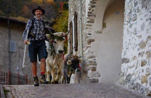 Le Terre di Gu - Photo 51