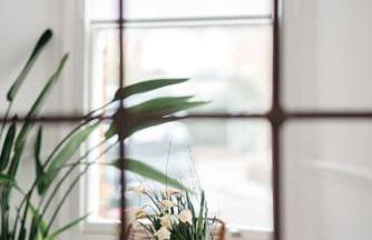 3 Bedroom House in Kew Gardens - Foto 28