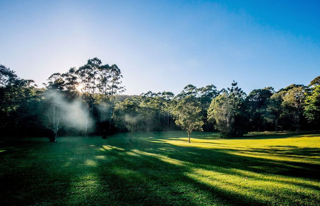 Nightcap Ridge - Foto 36