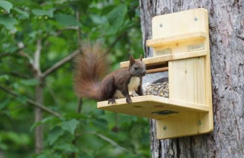 Holiday Home WaldhausEichhörnchen by Interhome - Foto 23