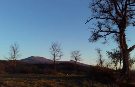 La Casa del susino - Foto 20