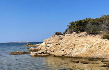 Wiki's Place - Foto 41