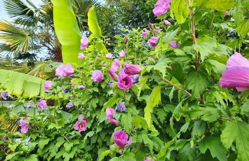 Demeure de charme paisible - Foto 37