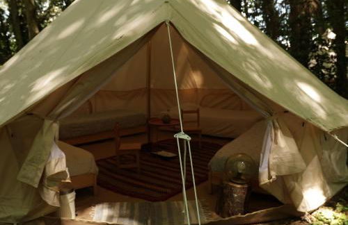 Associação Quinta das Relvas - Foto 65