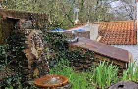 Huerto Fernandito - Foto 23