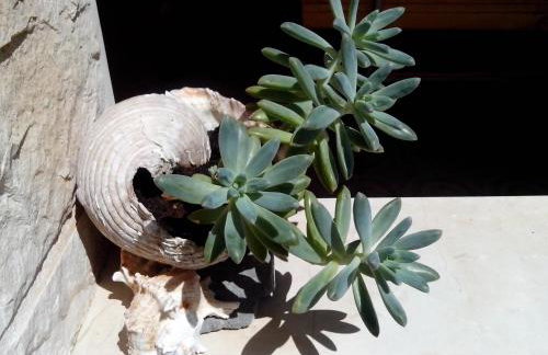 Apartments Rinčić - Photo 65