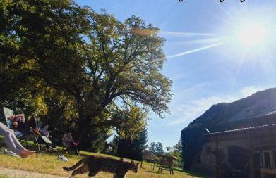 Agroturystyka Różanka - Foto 6