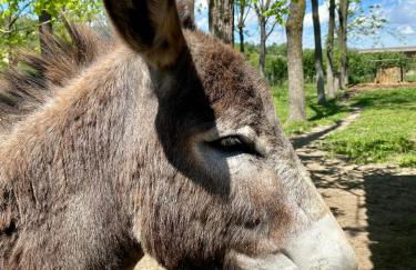 Locanda Del Molino Vecchio - Foto 71