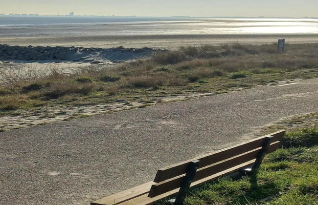 Holiday Home in Zeeland Near Lake - Foto 38