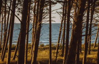 Boho Sfera - Foto 50