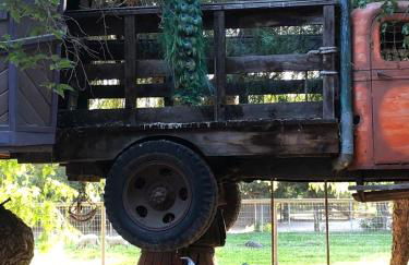 Wine Country Private Working Sheep Farm; Rustic Elegance - Foto 7