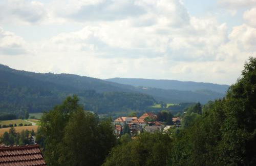 Ferienwohnung Bodenmais am Silberberg - Photo 23