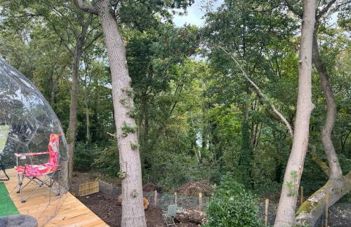 Tranquil Seabreeze - Photo 10