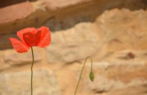 Casale Bramasole - Foto 23