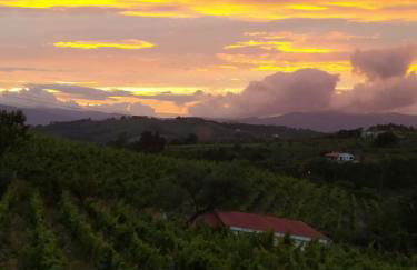 Casa das Vinhas Velhas by Casa do Poço - Foto 10